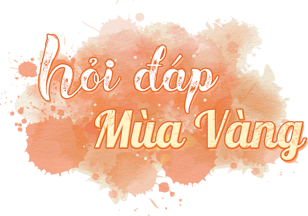 Hỏi Đáp Mùa Vàng
